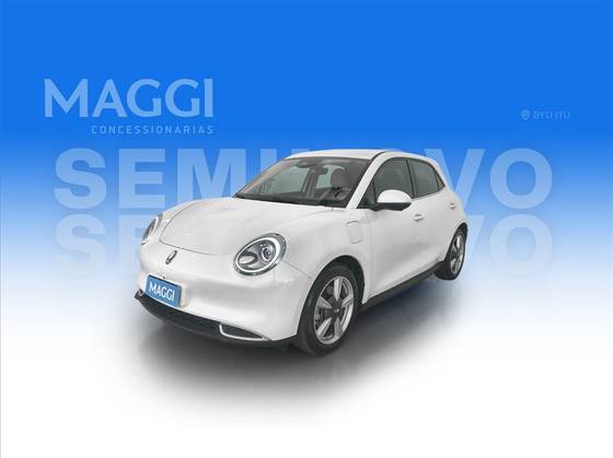 GWM ORA 03 48 KW ELÉTRICO SKIN